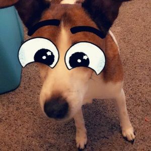 Meet your Posher, Sandra